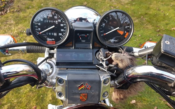 Gebrauchtmotorrad Honda CX650C - Bild 6