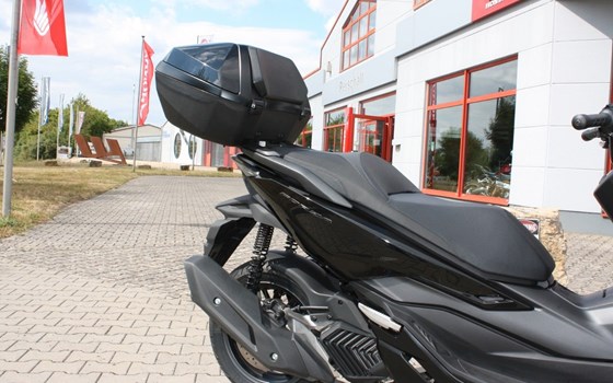 Gebrauchtmotorrad Honda Forza 125 - Bild 10