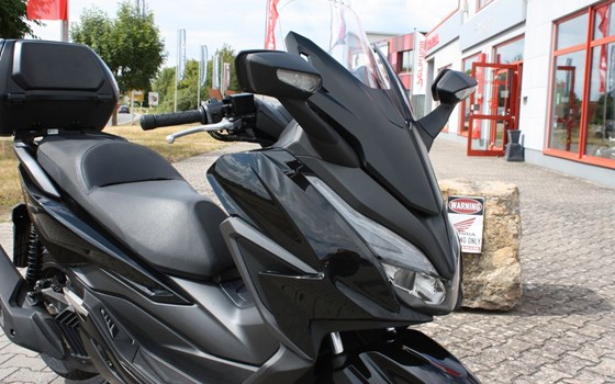 Gebrauchtmotorrad Honda Forza 125 - Bild 4