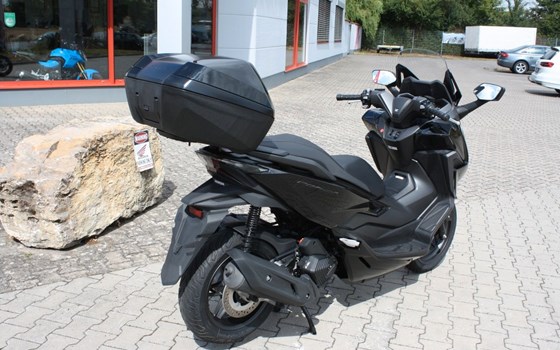 Gebrauchtmotorrad Honda Forza 125 - Bild 5