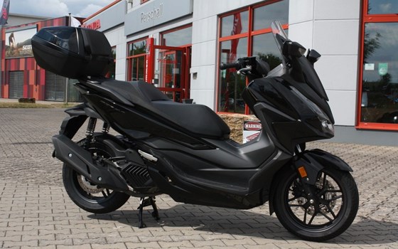 Gebrauchtmotorrad Honda Forza 125 - Bild 6