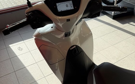 Gebrauchtmotorrad Honda SH125 - Bild 10