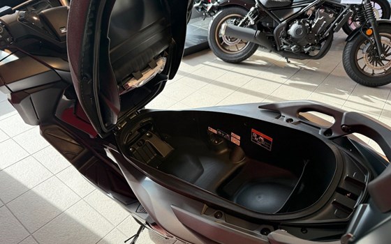 Gebrauchtmotorrad Honda Forza 125 - Bild 10