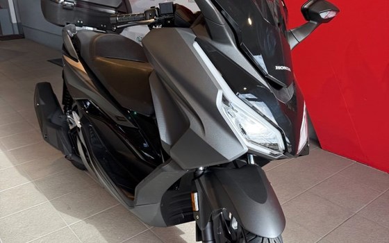 Gebrauchtmotorrad Honda Forza 125 - Bild 3