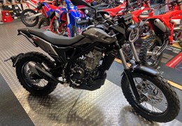 Neumotorrad Beta Alp X