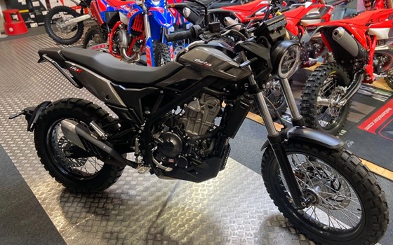 Neufahrzeug Beta Alp X - Bild 1