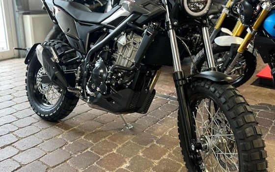 Neufahrzeug Beta Alp X - Bild 13