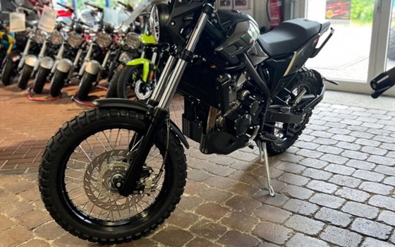 Neufahrzeug Beta Alp X - Bild 3