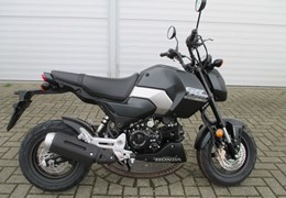 Neumotorrad Honda MSX125 Grom