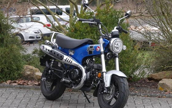 Gebrauchtmotorrad Honda Dax - Bild 1