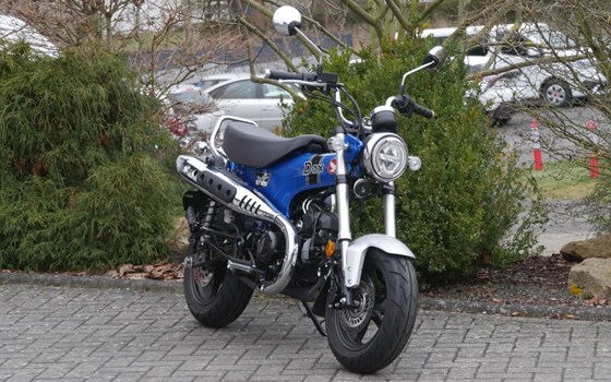 Gebrauchtmotorrad Honda Dax - Bild 2