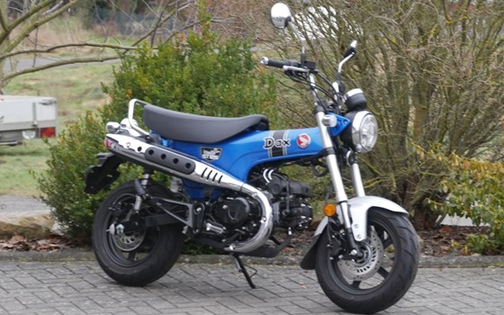 Gebrauchtmotorrad Honda Dax - Bild 3