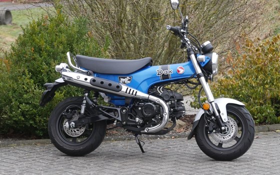Gebrauchtmotorrad Honda Dax - Bild 4