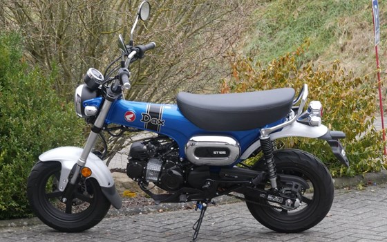 Gebrauchtmotorrad Honda Dax - Bild 5