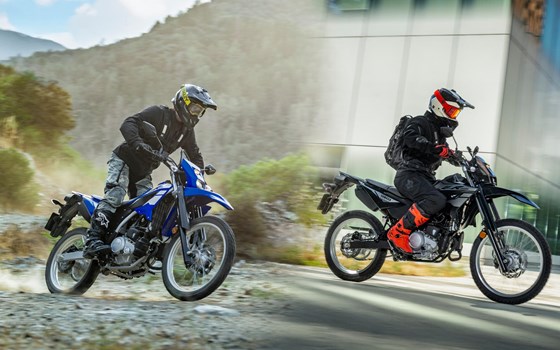 Neufahrzeug Yamaha WR125R - Bild 15