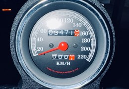 Gebrauchte Harley-Davidson Sportster XL 883 Hugger