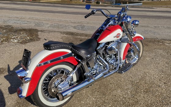 Gebrauchtmotorrad Harley-Davidson Custom Bike - Bild 5