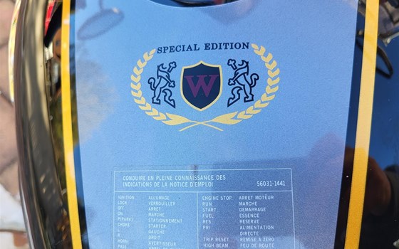 Gebrauchtmotorrad Kawasaki W800 - Bild 5