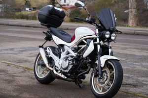 Angebot Suzuki SFV 650 Gladius