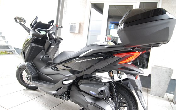 Neufahrzeug Honda Forza 350 - Bild 7