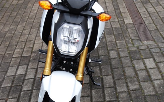 Neufahrzeug Honda MSX125 Grom - Bild 10