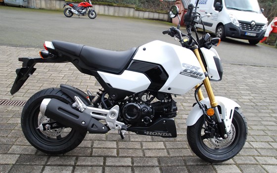 Neufahrzeug Honda MSX125 Grom - Bild 1