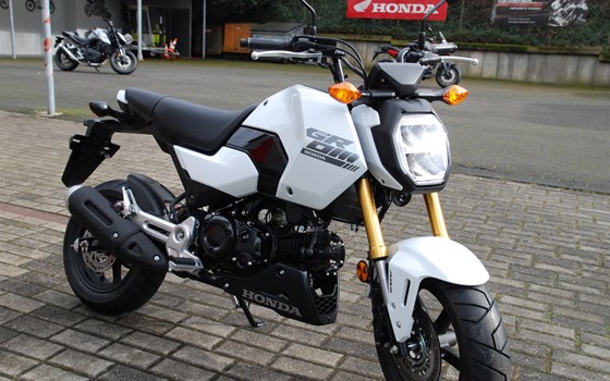 Neufahrzeug Honda MSX125 Grom - Bild 2