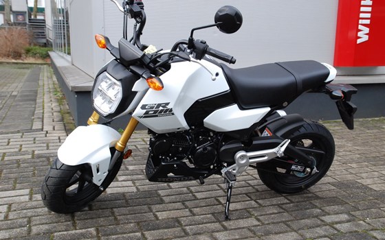 Neufahrzeug Honda MSX125 Grom - Bild 5