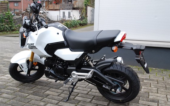 Neufahrzeug Honda MSX125 Grom - Bild 8