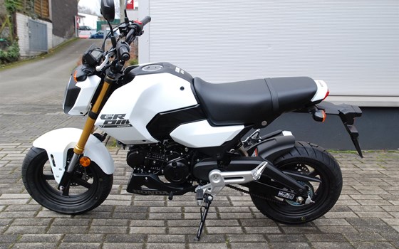 Neufahrzeug Honda MSX125 Grom - Bild 6