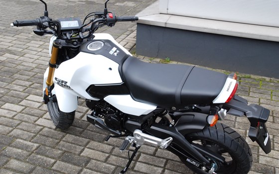 Neufahrzeug Honda MSX125 Grom - Bild 7
