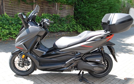 Neufahrzeug Honda Forza 125 - Bild 5