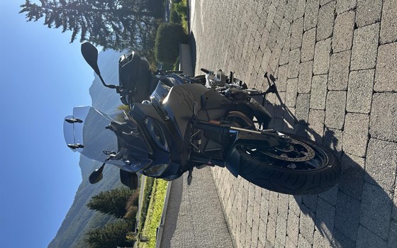 Gebrauchtmotorrad BMW F 900 XR - Bild 8