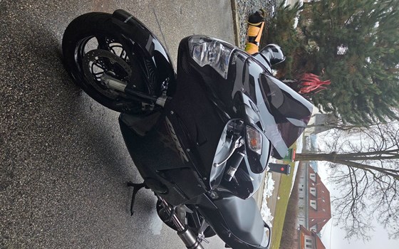 Gebrauchtmotorrad Honda CBR 1100 XX Super Blackbird - Bild 6