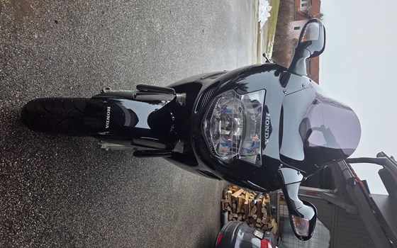 Gebrauchtmotorrad Honda CBR 1100 XX Super Blackbird - Bild 7