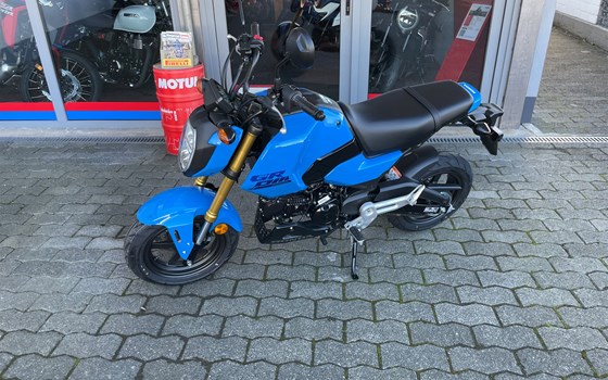 Neufahrzeug Honda MSX125 Grom - Bild 2