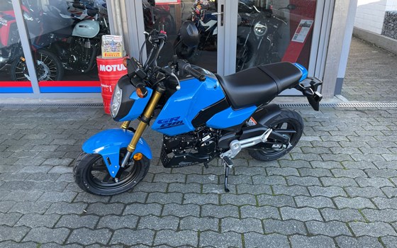 Neufahrzeug Honda MSX125 Grom - Bild 3