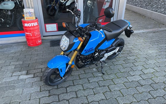 Neufahrzeug Honda MSX125 Grom - Bild 4