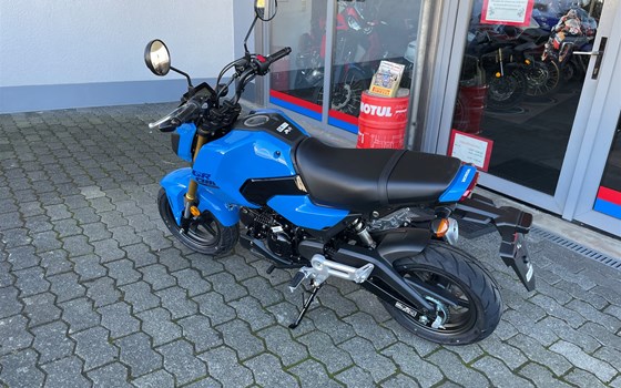 Neufahrzeug Honda MSX125 Grom - Bild 5