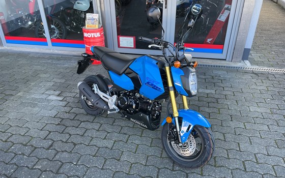 Neufahrzeug Honda MSX125 Grom - Bild 6