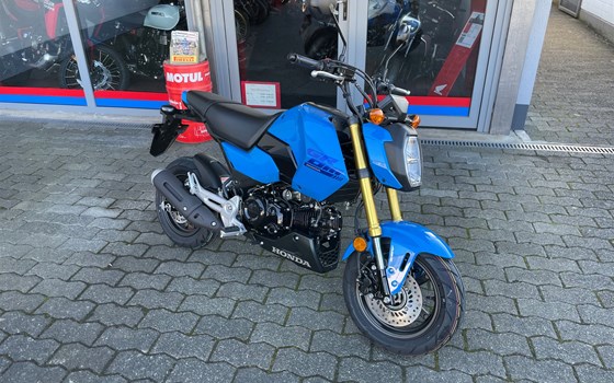 Neufahrzeug Honda MSX125 Grom - Bild 1