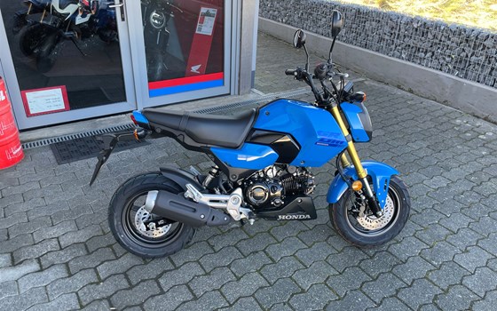 Neufahrzeug Honda MSX125 Grom - Bild 7