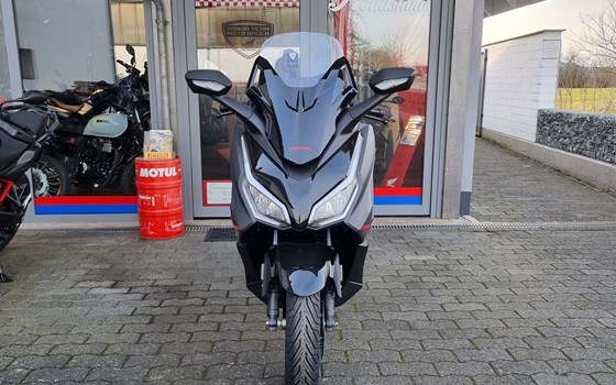 Neufahrzeug Honda Forza 125 Special Edition - Bild 3