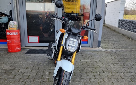 Neufahrzeug Honda MSX125 Grom - Bild 2