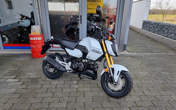 Neufahrzeug Honda MSX125 Grom - Bild 1