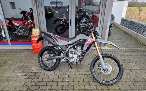 Neufahrzeug Honda CRF300L - Bild 1