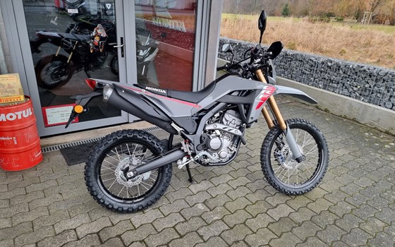 Neufahrzeug Honda CRF300L - Bild 2