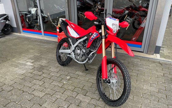 Neufahrzeug Honda CRF300L - Bild 2