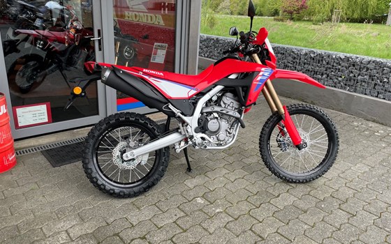 Neufahrzeug Honda CRF300L - Bild 6