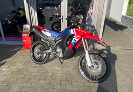 Neumotorrad Honda CRF300 Rally